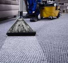 This month, Thornton carpet cleaning companies are offering some of the best deals we've seen in a while—making it the perfect time to schedule a deep clean.