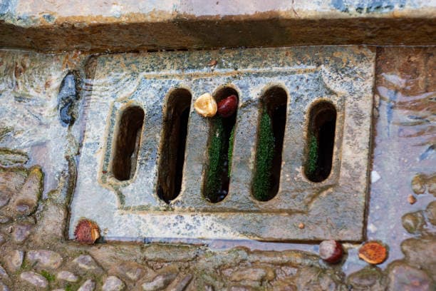 Fortunately, with a little seasonal care, Thornton homeowners can prevent most drain issues before they even start